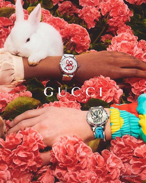 Gucci rabbit